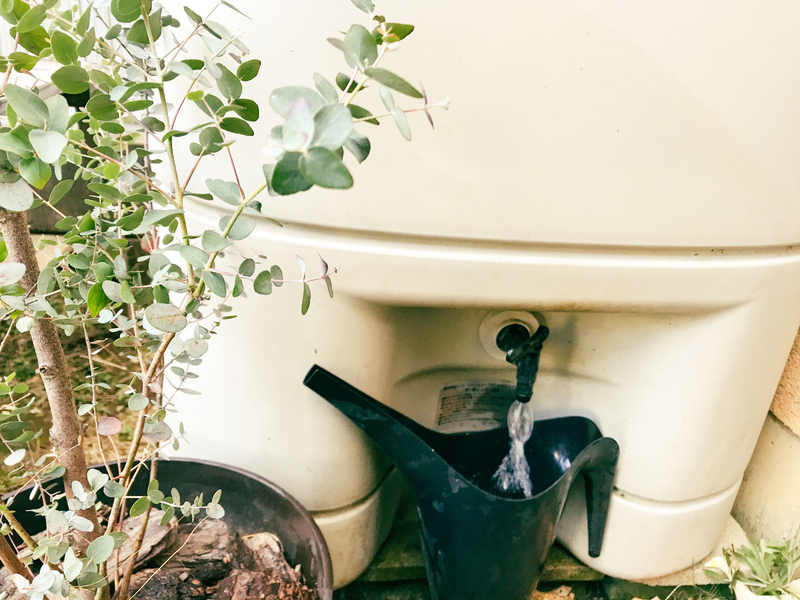 雨水タンクを設置！補助金を使った設置費用やオススメの活用法｜くらしの色鳥
